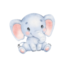 Daxiang Paid VPN, 巨大的象付费翻墙软件