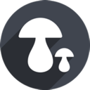 Mogu Paid VPN, 蘑菇付费翻墙软件